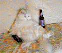 mancat125.gif