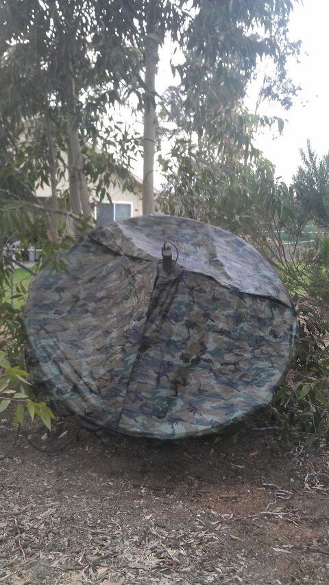 covered dish1.jpg covered dish1.jpg