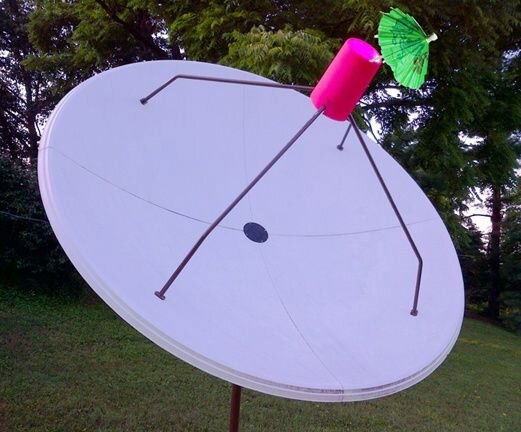 Bright-Dish2.jpg
