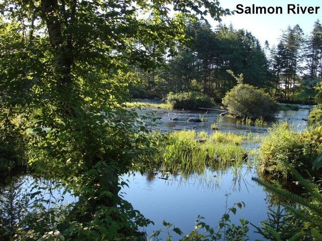 Salmon River.jpg Salmon River.jpg