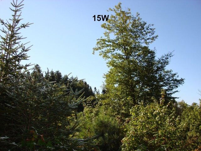 15W.jpg 15W.jpg