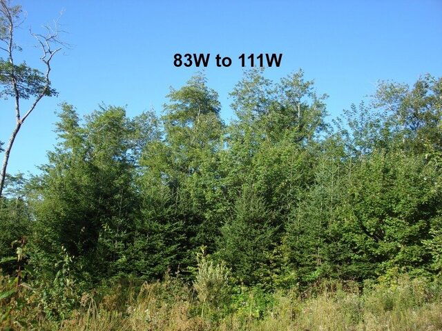 83W_111W.jpg 83W_111W.jpg
