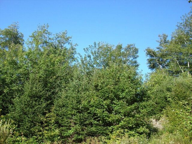 DSC05093_sm.jpg