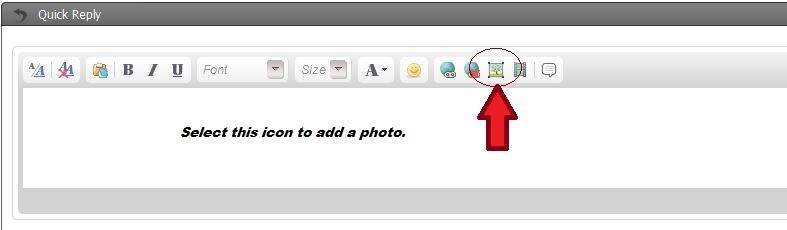 toadd.JPG