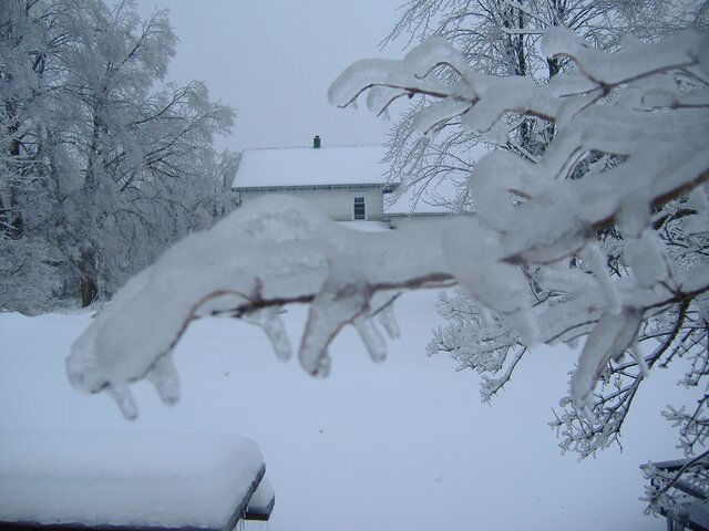 ice storm 13 2013-12-22 003.JPG