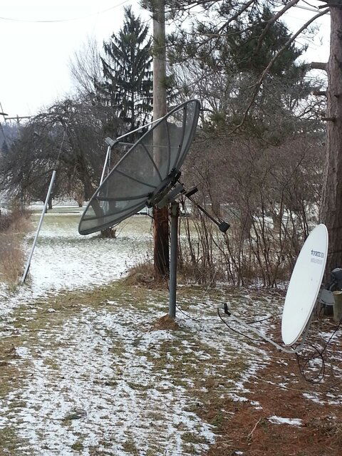 dish.jpeg