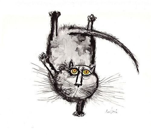 cat_handstand.jpg