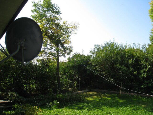 IMG_0003.jpg