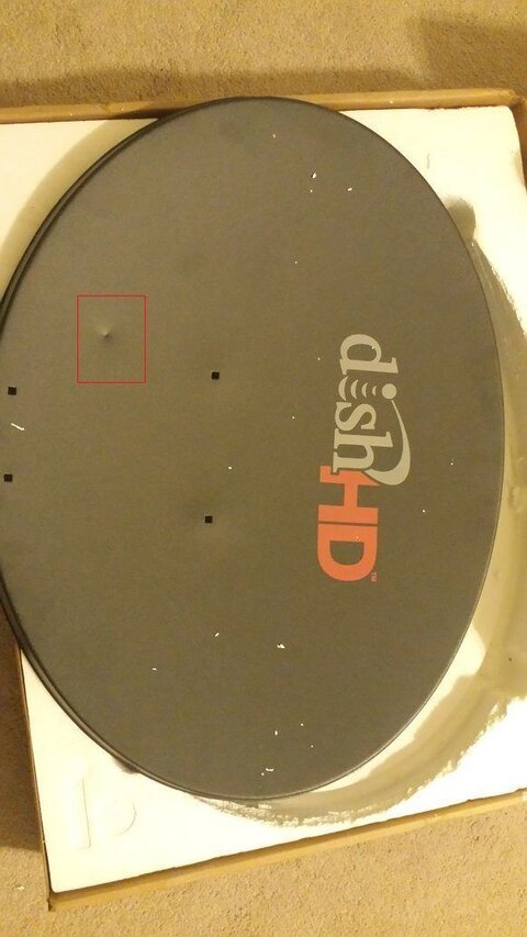 dish - 2.jpg