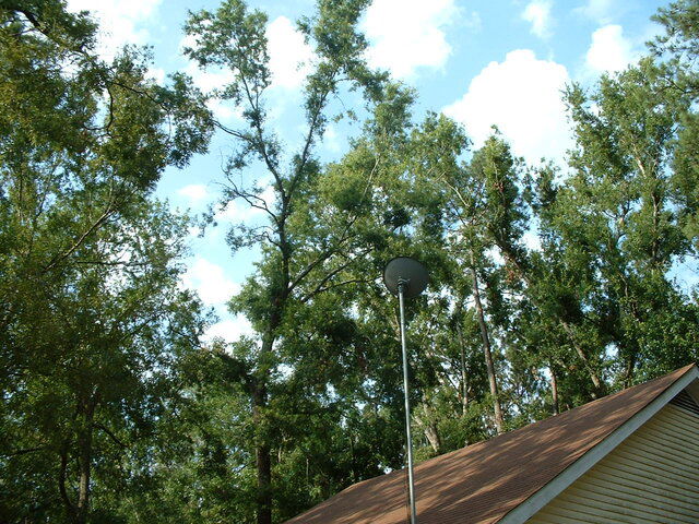 DirecTV dish Mandaville, LA.JPG