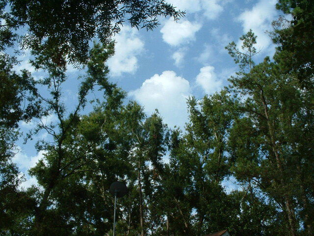 DirecTV dish Mandaville, LA (1).JPG