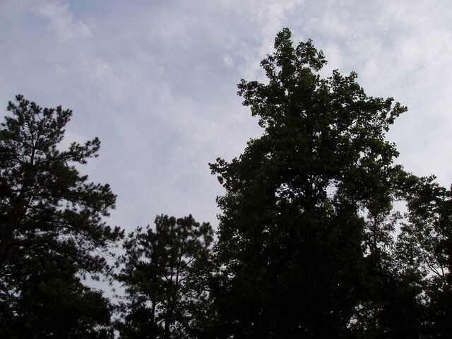 P7060034.JPG