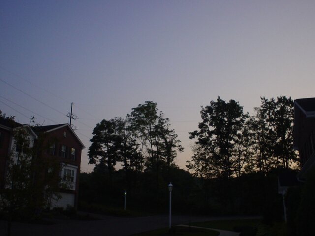 Picture 004.jpg
