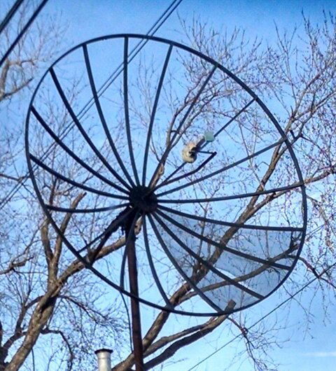 dish.jpg