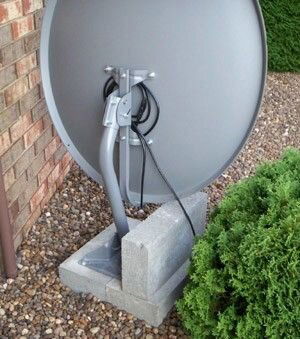 76dish-back.jpg