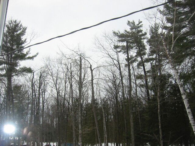 IMG_2541.JPG