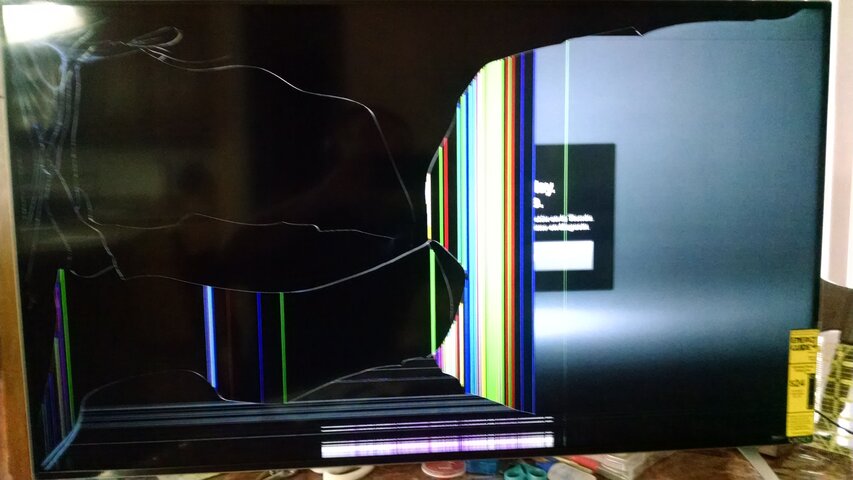 Defective Vizio.jpg