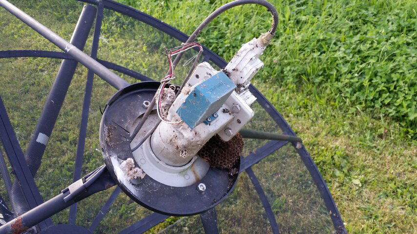 20160611_190800.jpg
