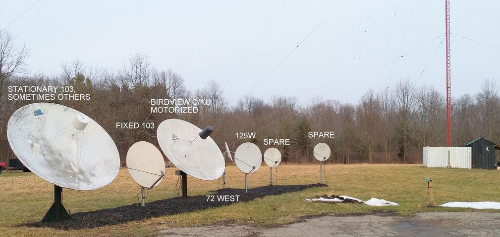 DISH FARM WION.jpg