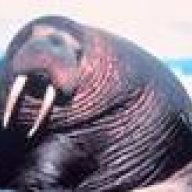 walrus1957