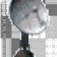 nuttz565