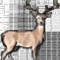 Dishpointer