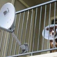 Satellite_HSP