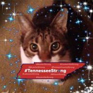 Joni George Cheeves