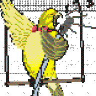 Warbler