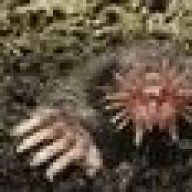molhunter