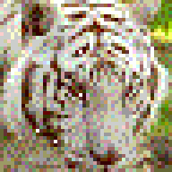 TIGEREYE