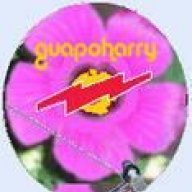 guapoharry