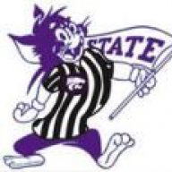 wildcat598