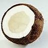 cocosolo