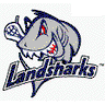 llshark20