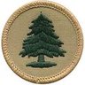 IdahoDave