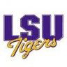 LSUtiger95