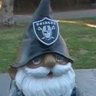 raider49er