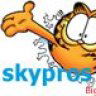 skypros