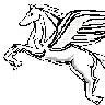 SFPegasus