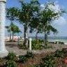 Sabal