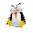 bob3