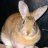 Bunnyman